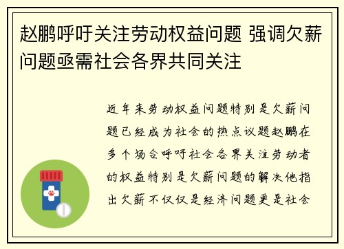 赵鹏呼吁关注劳动权益问题 强调欠薪问题亟需社会各界共同关注 赵鹏呼吁关注劳动权益问题 强调欠薪问题亟需社会各界共同关注