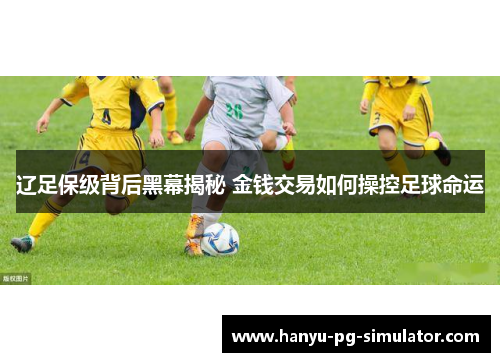 辽足保级背后黑幕揭秘 金钱交易如何操控足球命运 辽足保级背后黑幕揭秘 金钱交易如何操控足球命运