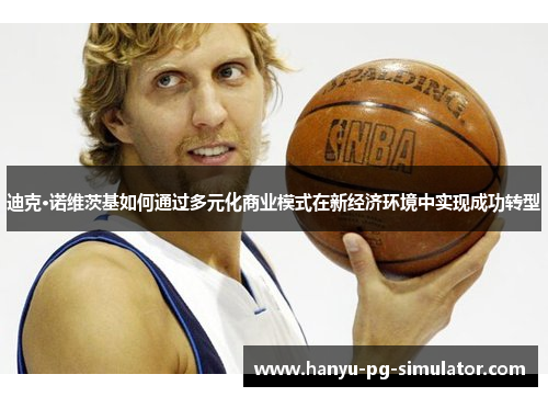 迪克·诺维茨基如何通过多元化商业模式在新经济环境中实现成功转型