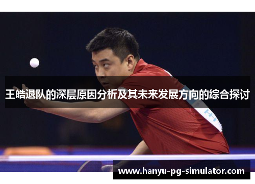 王皓退队的深层原因分析及其未来发展方向的综合探讨