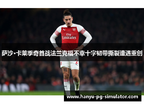 萨沙·卡莱季奇首战法兰克福不幸十字韧带撕裂遭遇重创