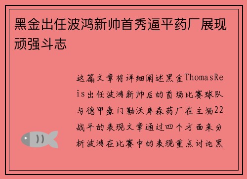 黑金出任波鸿新帅首秀逼平药厂展现顽强斗志 黑金出任波鸿新帅首秀逼平药厂展现顽强斗志
